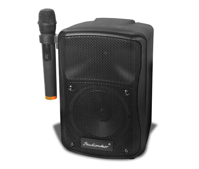 Portable Speaker Systems